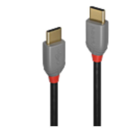 Lindy Anthra Line - Cavo USB - 24 pin USB-C (M) a 24 pin USB-C (M) - USB 2.0 - 2 m - di forma rotonda - nero